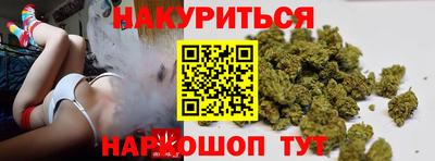 гашик Тара